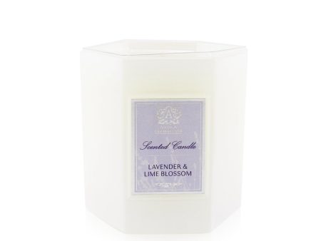 Antica Farmacista Candle - Lavender & Lime Blossom  255g 9oz Cheap